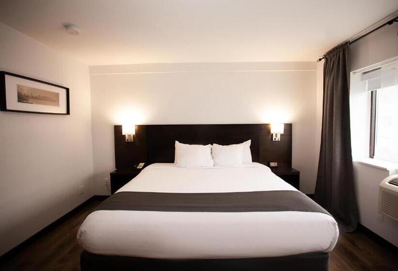 キングサイズベッドのスタンダードルーム, Newstar Montreal