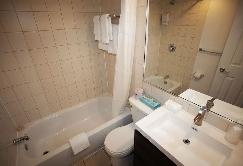 ２ダブルベッドのスタンダードルーム, Newstar Montreal