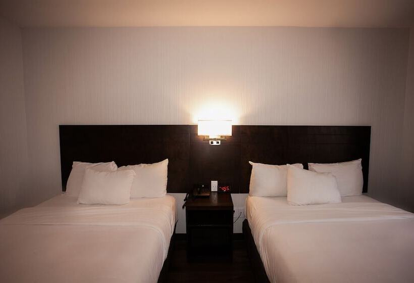 ２ダブルベッドのスタンダードルーム, Newstar Montreal