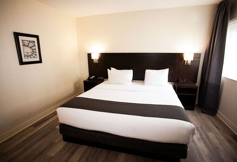 スイート, Newstar Montreal