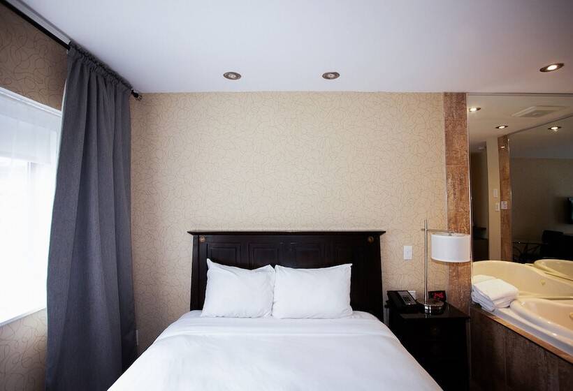 スイート, Newstar Montreal