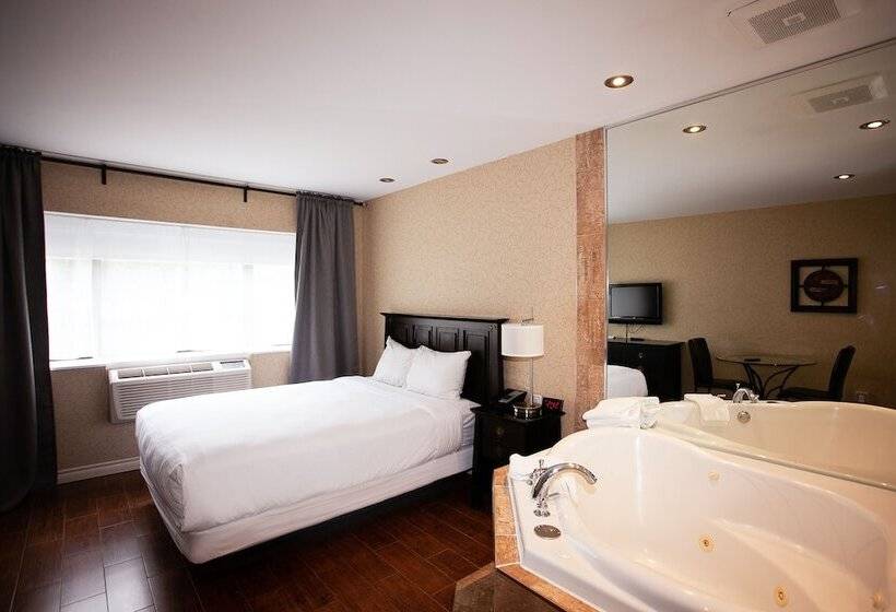 スイート, Newstar Montreal