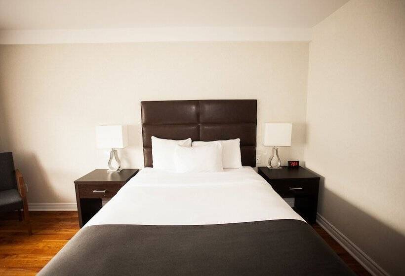 スタンダードルーム, Newstar Montreal