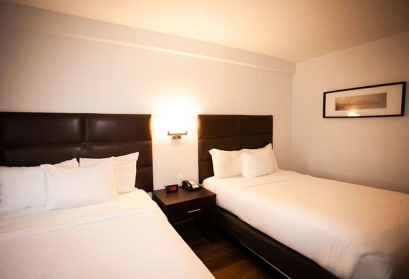 スタンダードルーム, Newstar Montreal