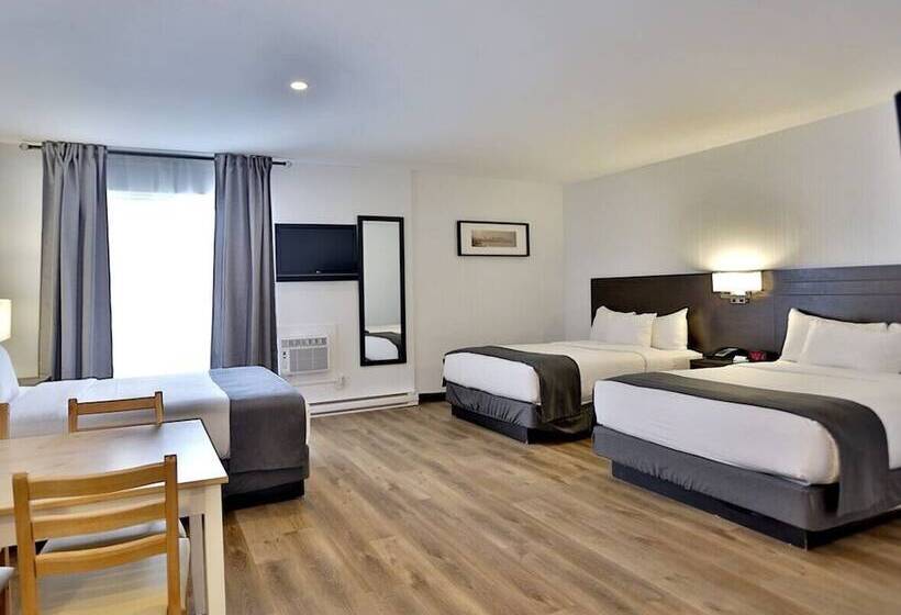 スタンダードルーム, Newstar Montreal