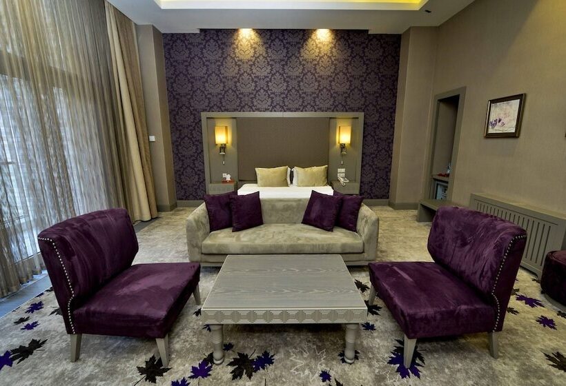 اتاق سوپریور, Qafqaz Tufandag Mountain Resort