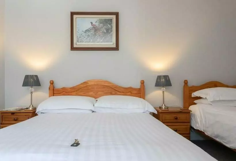 اتاق استاندارد سه نفره, Ashleigh House Room Only