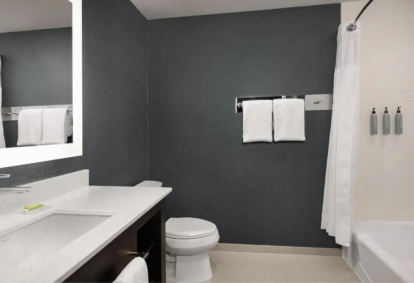 キングサイズベッドのスイートルーム, Residence Inn By Marriott Dallas Grand Prairie