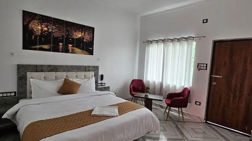 Quarto Estandar, Cloud Forest