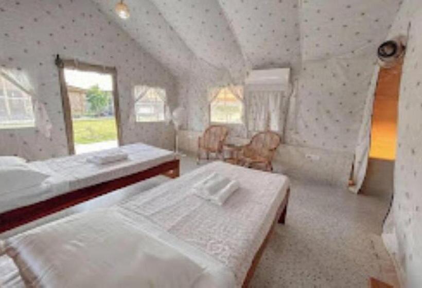 كوخ قياسي, Sonai Nameri