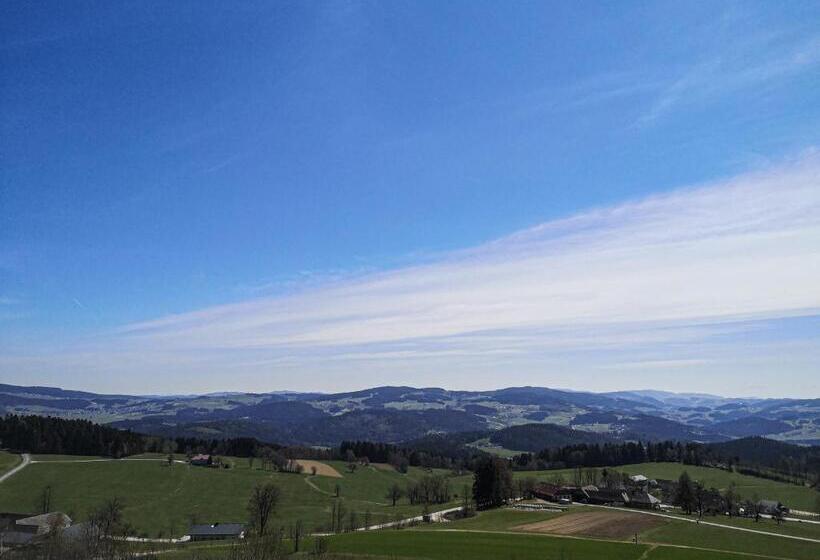 标准单人间, Aviva   Für Singles & Alleinreisende