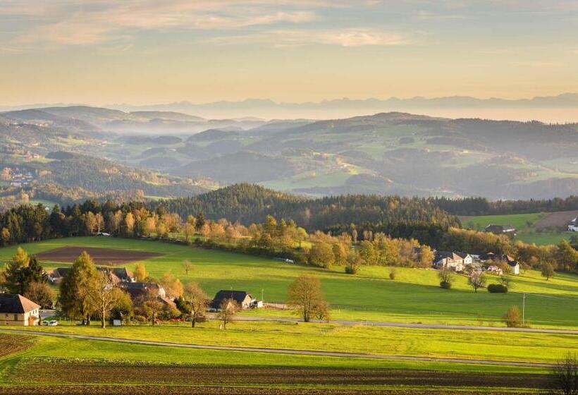 标准单人间, Aviva   Für Singles & Alleinreisende