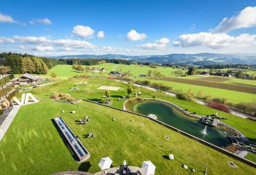 标准单人间, Aviva   Für Singles & Alleinreisende