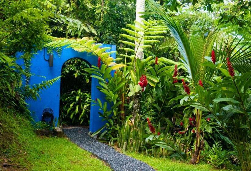 سوییت با چشمانداز باغ, Mont Carpe Diem