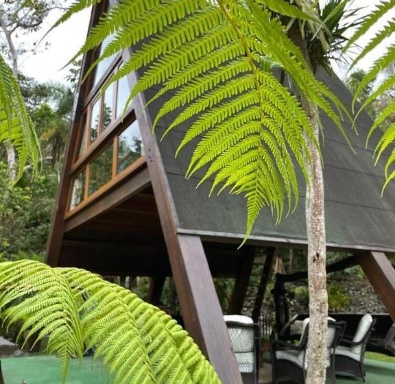 سوییت با چشمانداز باغ, Mont Carpe Diem