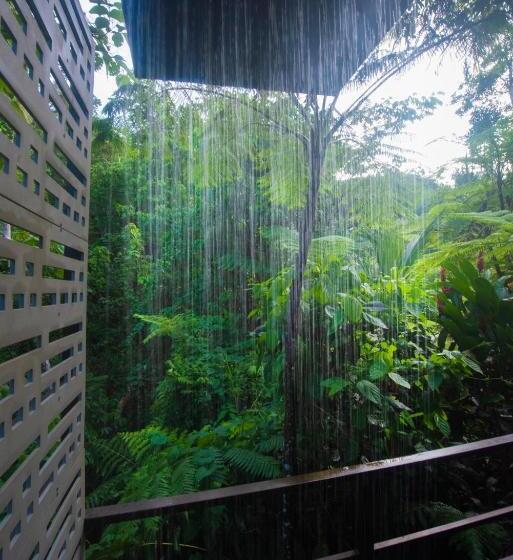 سوییت با چشمانداز باغ, Mont Carpe Diem