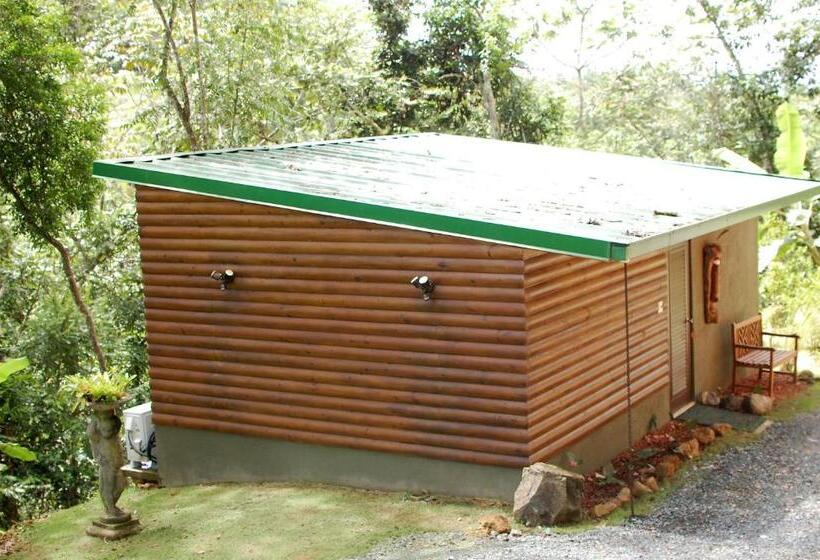 اتاق استاندارد با تراس, Mont Carpe Diem