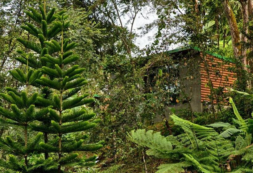 اتاق استاندارد با تراس, Mont Carpe Diem