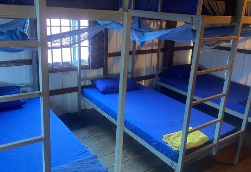 ルームシェアのワンベッド, The Hornbill Hostel