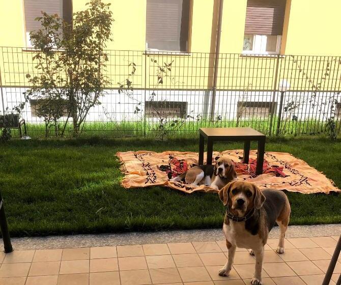 اتاق استاندارد با تراس, Green Suite Pavia