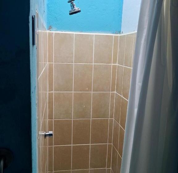 اتاق استاندارد چهار تخته, Hostel Rossy