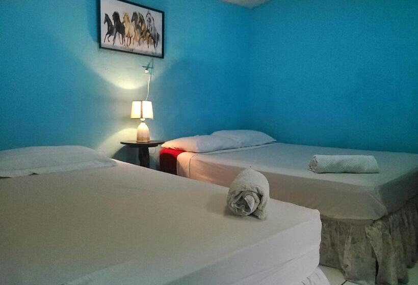 اتاق استاندارد چهار تخته, Hostel Rossy