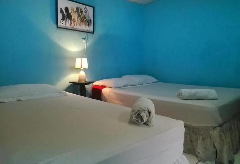 スタンダード4人部屋, Hostel Rossy