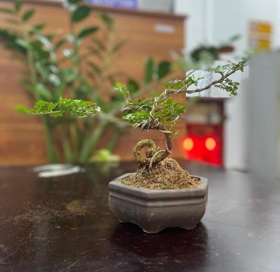 اتاق استاندارد با بالکن, Shine Riverside Homestay