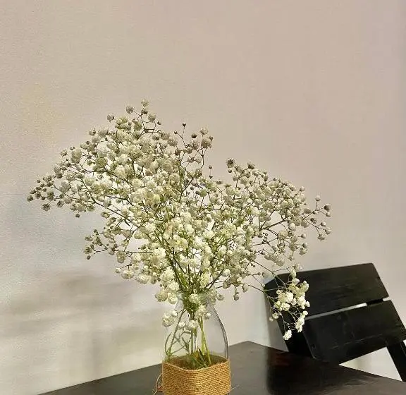 اتاق لوکس چهار تخته, Shine Riverside Homestay