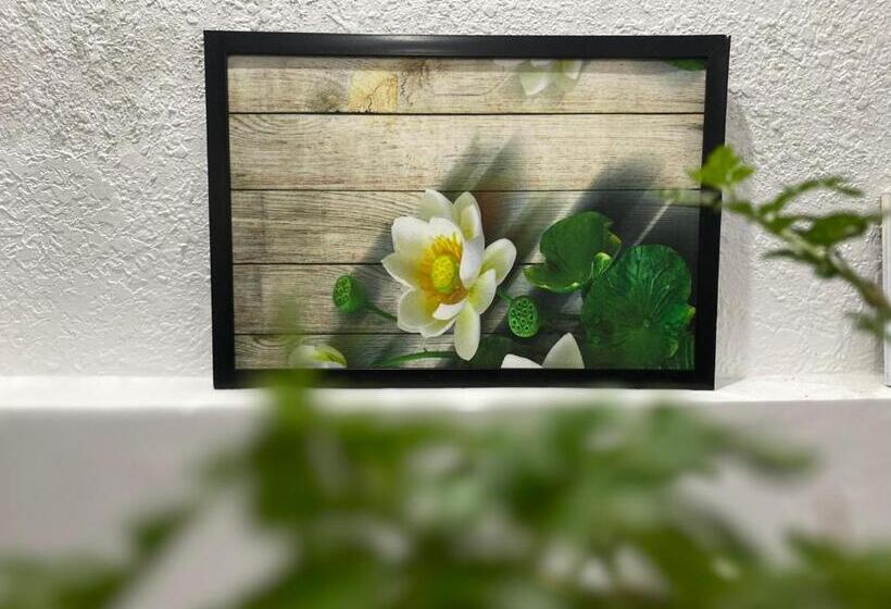 اتاق لوکس چهار تخته, Shine Riverside Homestay