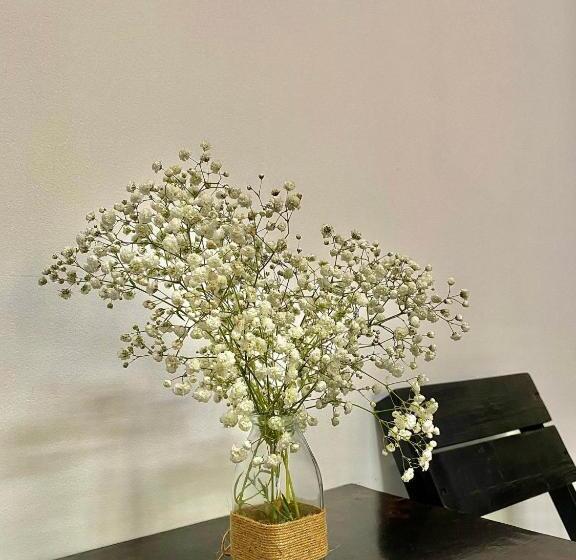 اتاق لوکس چهار تخته, Shine Riverside Homestay