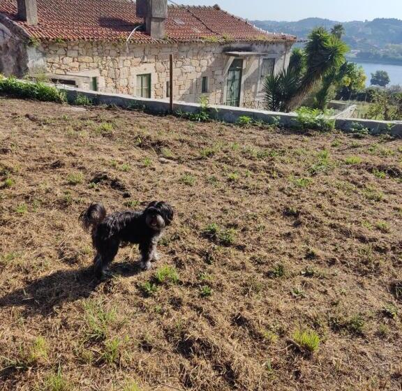 Номер Стандарт, Douro Ecostudio