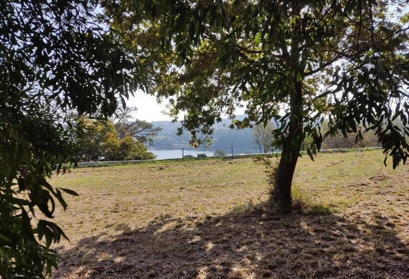 اتاق استاندارد, Douro Ecostudio