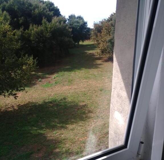 اتاق استاندارد, Douro Ecostudio