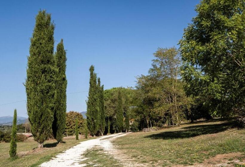 آپارتمان سوپریور 1 خوابه, Volpe