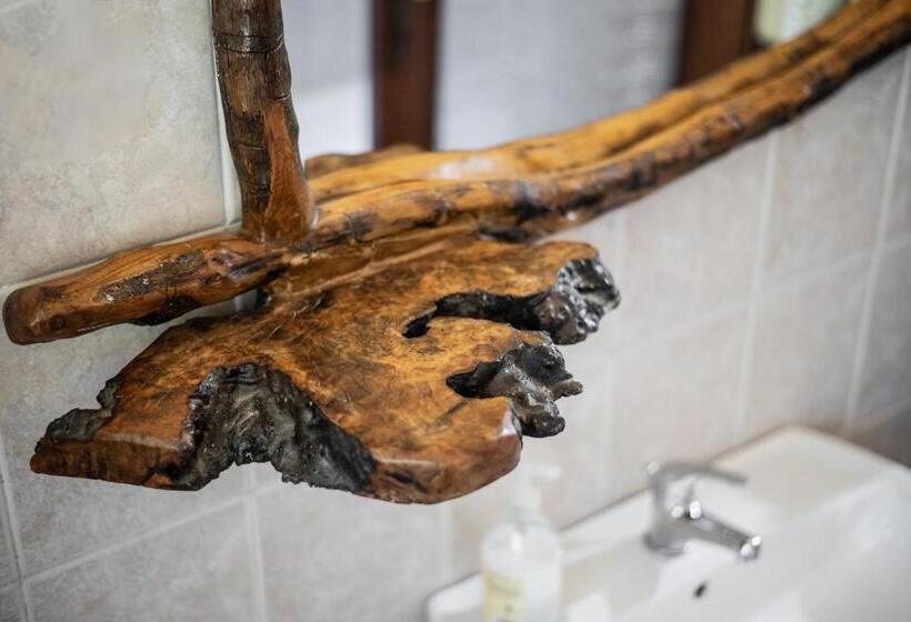 آپارتمان سوپریور 1 خوابه, Volpe