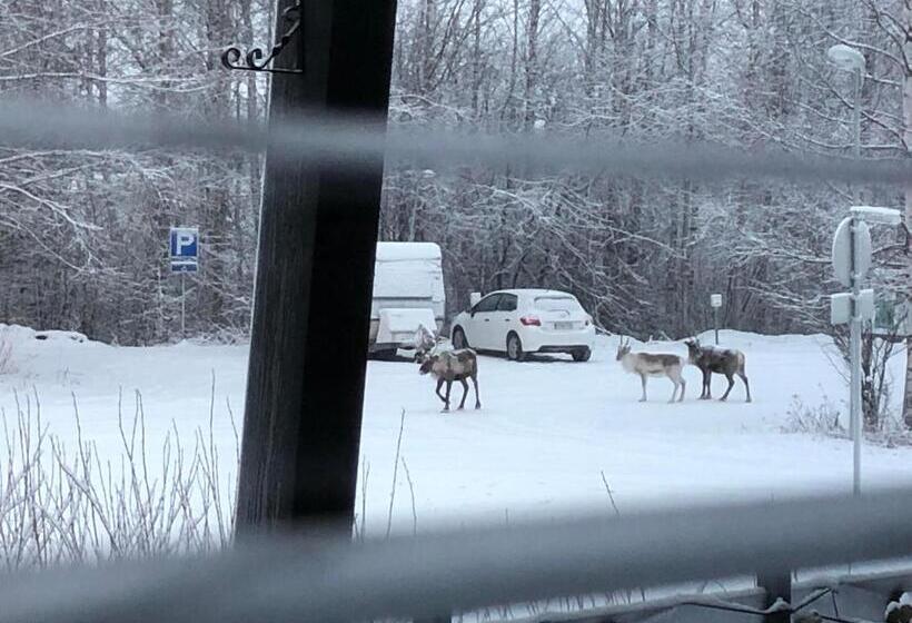 スタンダードインサイドビュールーム, Guest House   Northern Tealight