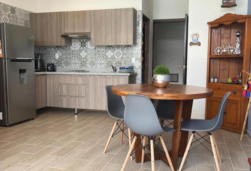 Апартаменты 1 Спальня Нижний Этаж, Ribera De Chapala Suites