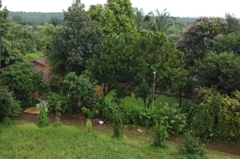 デラックスルーム, Sukriti Farms