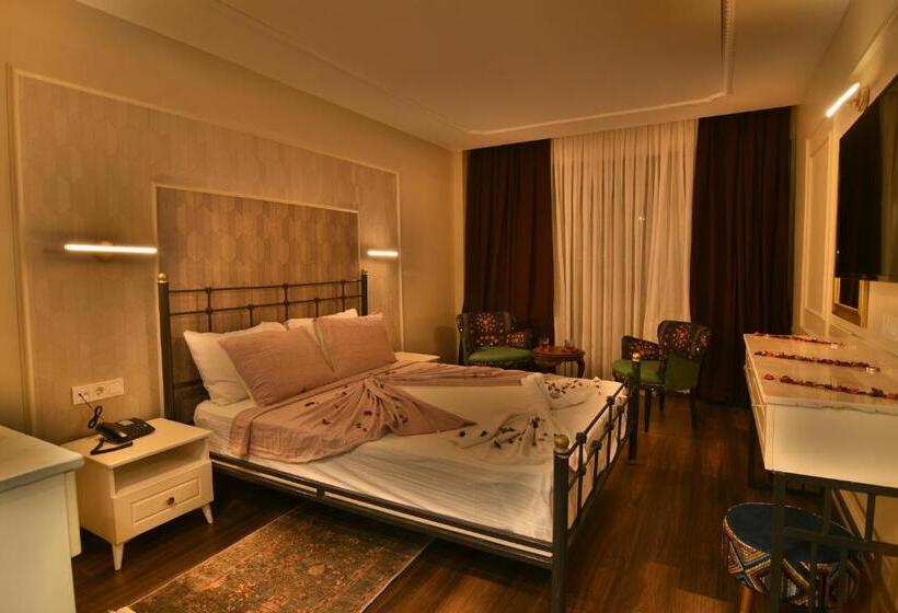 Номер Стандарт, Sur Palace