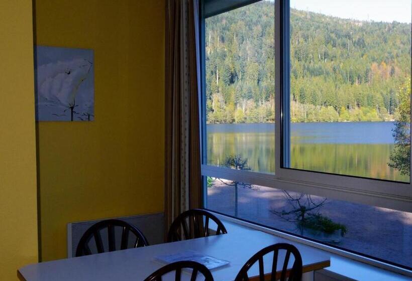 Студия Стандарт, Appart Hôtel Lido Au Bord De L Eau