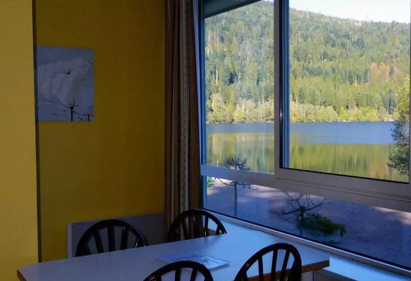 استودیوی استاندارد, Appart Hôtel Lido Au Bord De L Eau