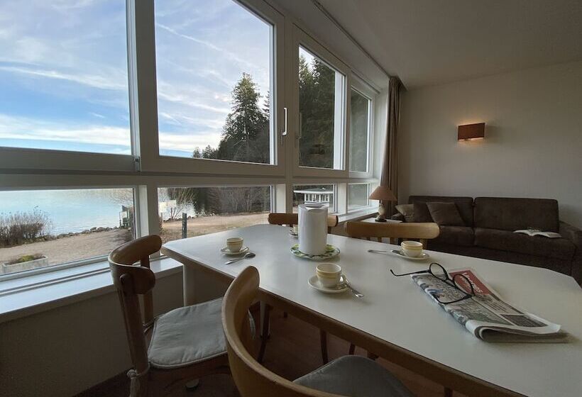 Standard studio with lake view, Appart Hôtel Lido Au Bord De L Eau