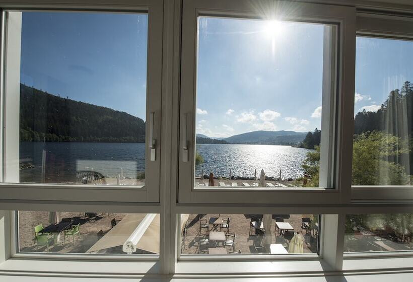 Standard studio with lake view, Appart Hôtel Lido Au Bord De L Eau