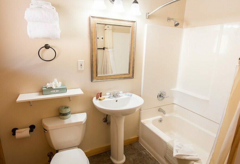 ダブルベッドスタンダードルーム, Discovery Lodge