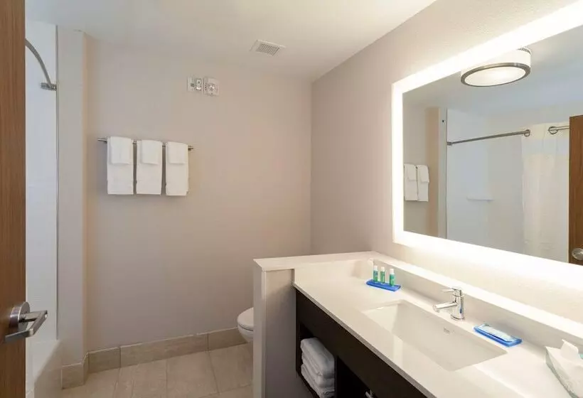 Sviitti Liikuntarajoitteisille, Holiday Inn Express & Suites Houston Nw Cypress Grand Pky, An Ihg