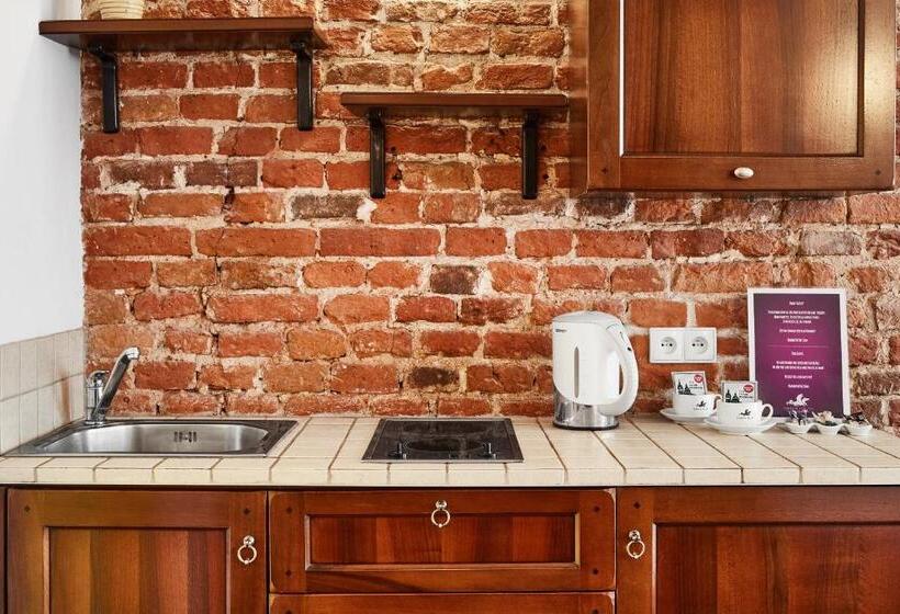 آپارتمان 1 خوابه با چشمانداز, Krakow For You Main Square Apartments