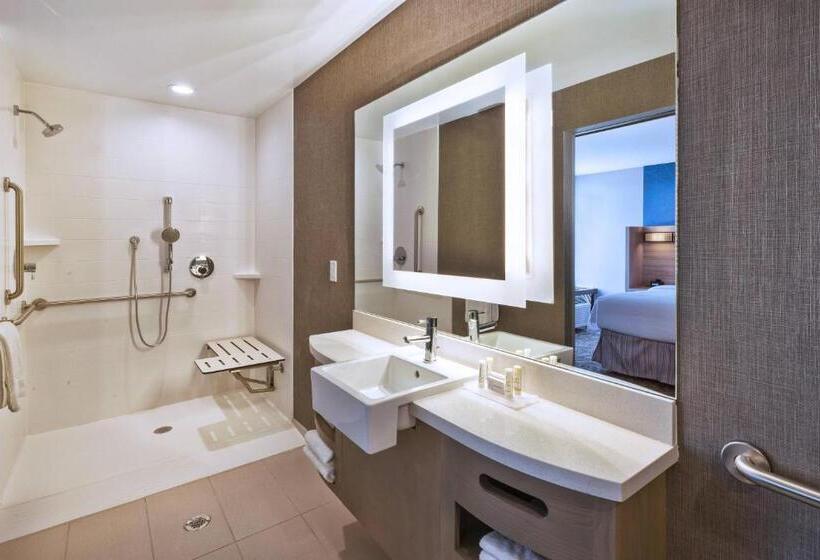 带大床的套房, Springhill Suites By Marriott St. Joseph Benton Harbor