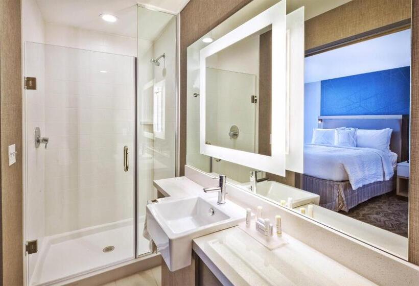 带大床的套房, Springhill Suites By Marriott St. Joseph Benton Harbor