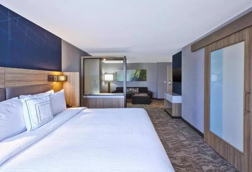 キングサイズベッドのスイートルーム, Springhill Suites By Marriott St. Joseph Benton Harbor